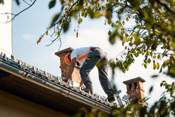 Best Storm Damage Roof Repair  in Palatine, IL