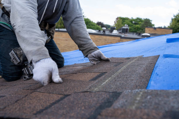 Roof Waterproofing Services in Palatine, IL