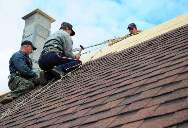 Quick and Trustworthy Emergency Roof Repair Services in Palatine, IL